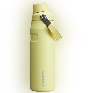 ICEFLOW™ BOTTLE WITH FAST FLOW LID | 24 OZ (POMELO)
